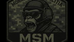 MSM Core Config