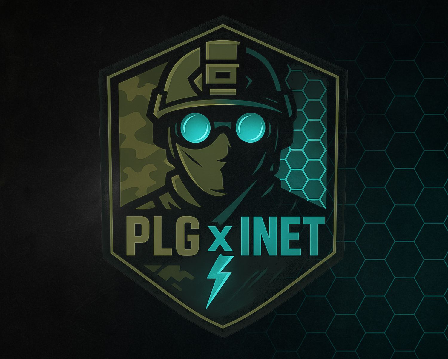 PLGxINET Zarichne Conflict