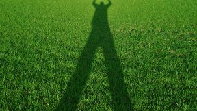 Force Grass & Distant Shadows