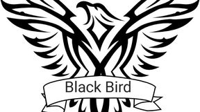 Black Bird