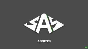 sas-assets
