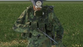 MiniMod-FIA Expansion Flamers