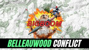 BIGBOOM BelleauWood Conflict
