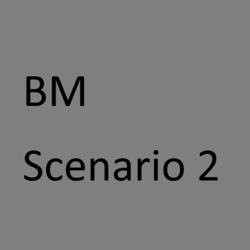 BM Scenarios2
