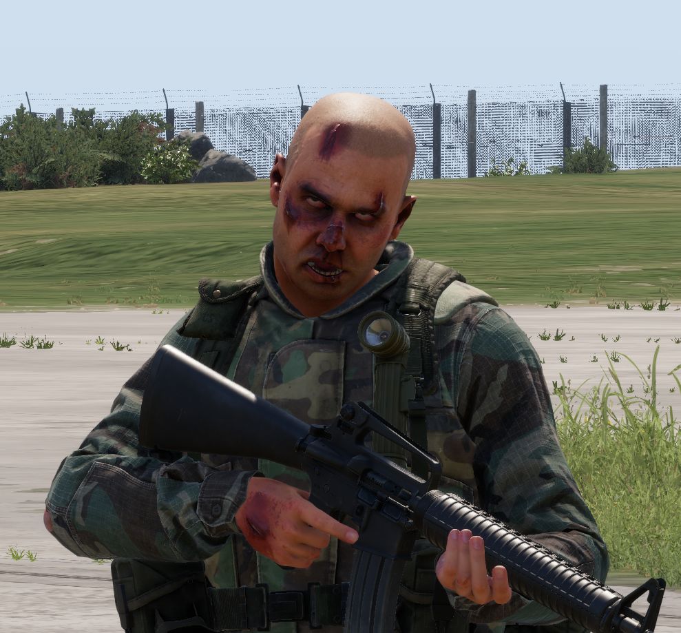 Ambient Spawn Director - Dev preview
