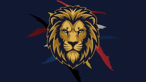 Delta Lions - RM