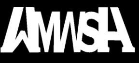 CAH-Basic-Settings-WMWSH-Clan