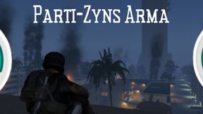 Parti-Zyns