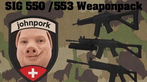 SIG SAUER SG 553 550