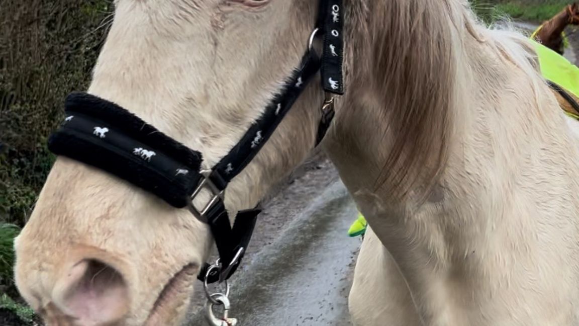 Longmoor Missions Testing