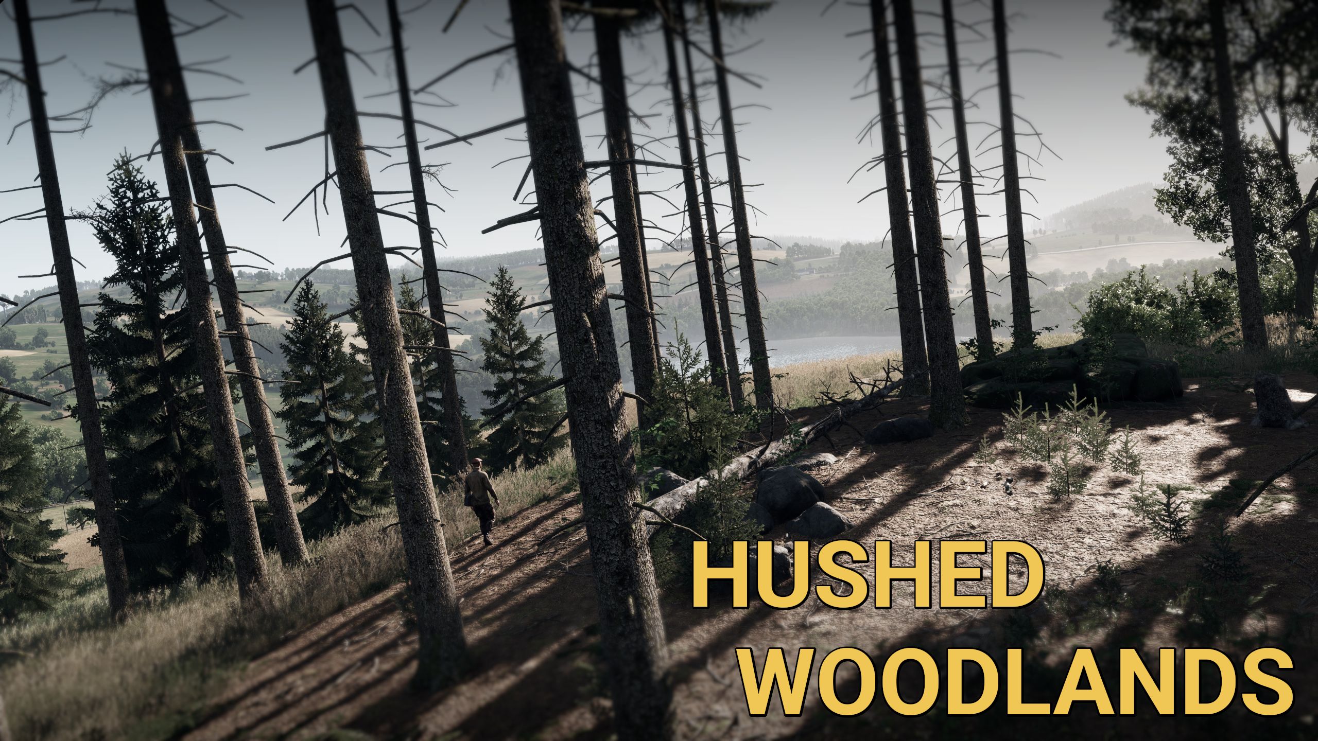 Hushed Woodlands preview
