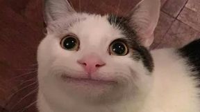 Action Heroes Vanilla Overhaul