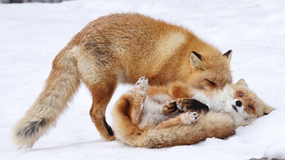 2. KdoKp Conflict Tweaks