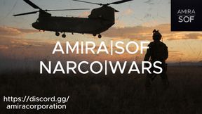 amira server load screen