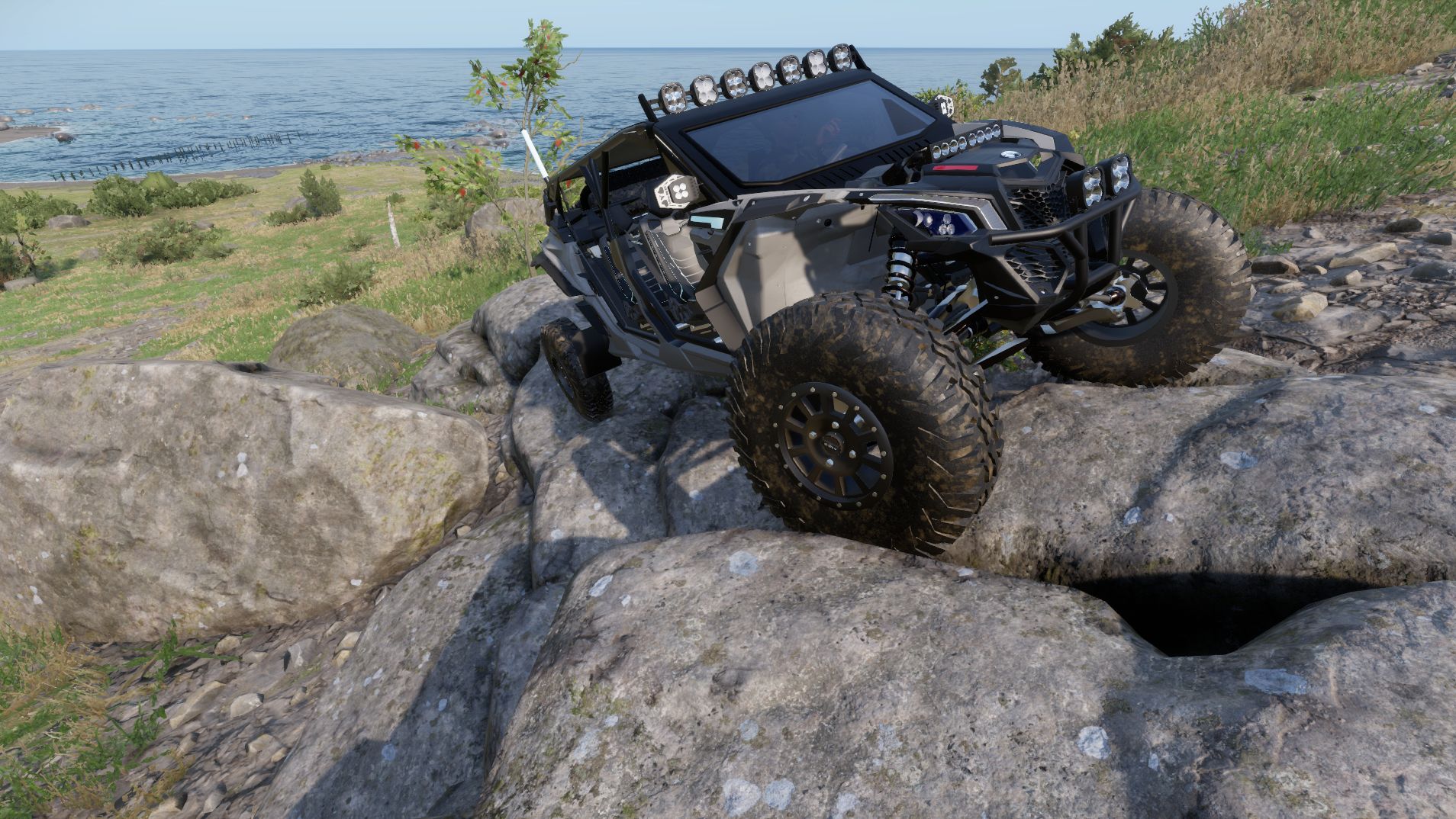 Mexican Rzr Naverick preview