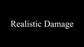 Realistic Damage