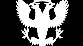 Phoenix Studios Puma