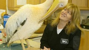 Small Tweaks Muzzle Thump