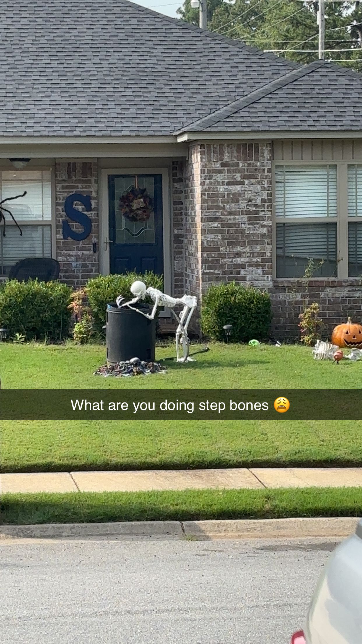 ECPVE-Possum07s-Version