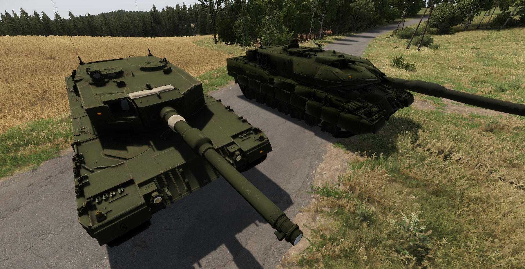 Spanish leopard 2A6 and 2A4