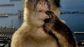 Config for ghosts explosives