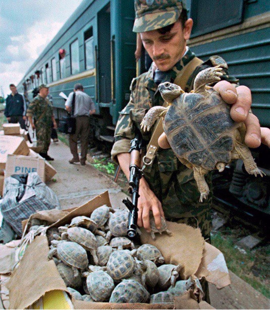 sliding raindrops - TEST