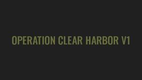 Operation Clean Harborv4