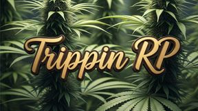 team_trippin_dev_tintin