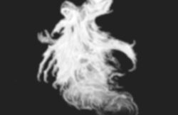 MDF Training Island Everon