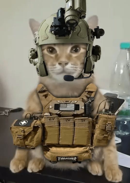 44TH Fallujah Setting