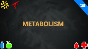 Metabolism