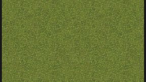 Reclamation test 123