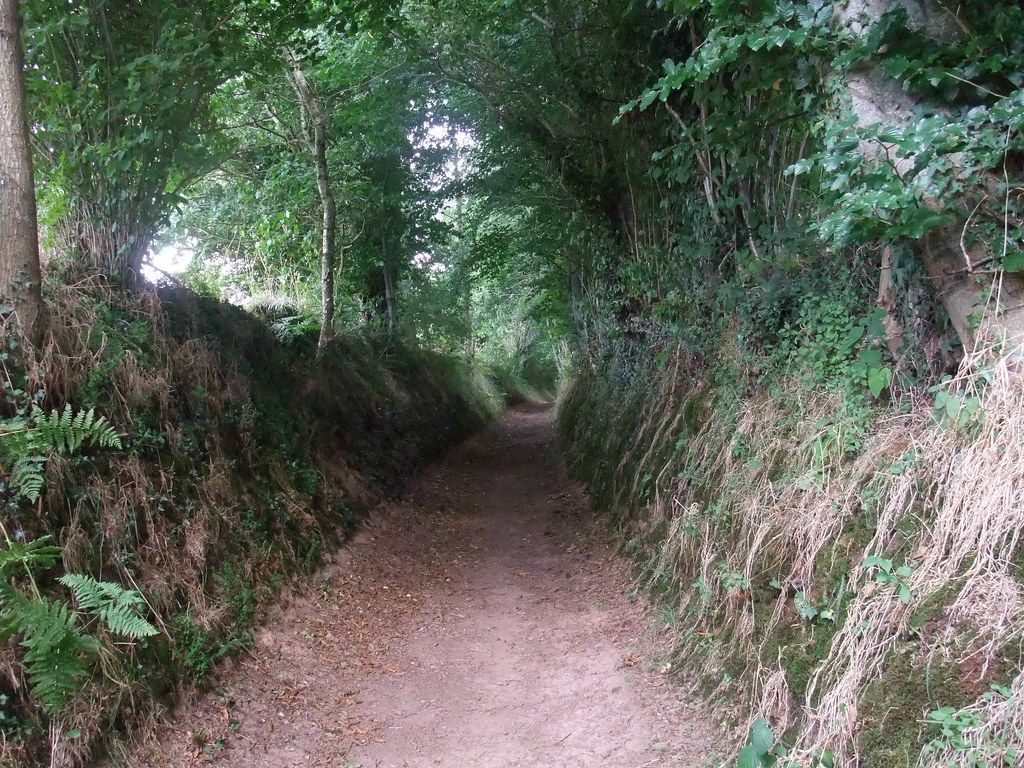 Bocage