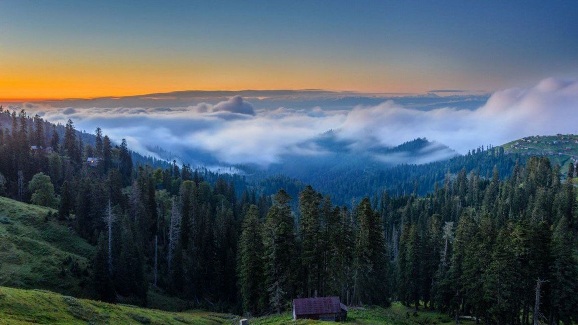 Bakhmaro By Shrimpininio