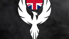 Phoenix Night sights