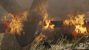 Veteran Gaming Australia