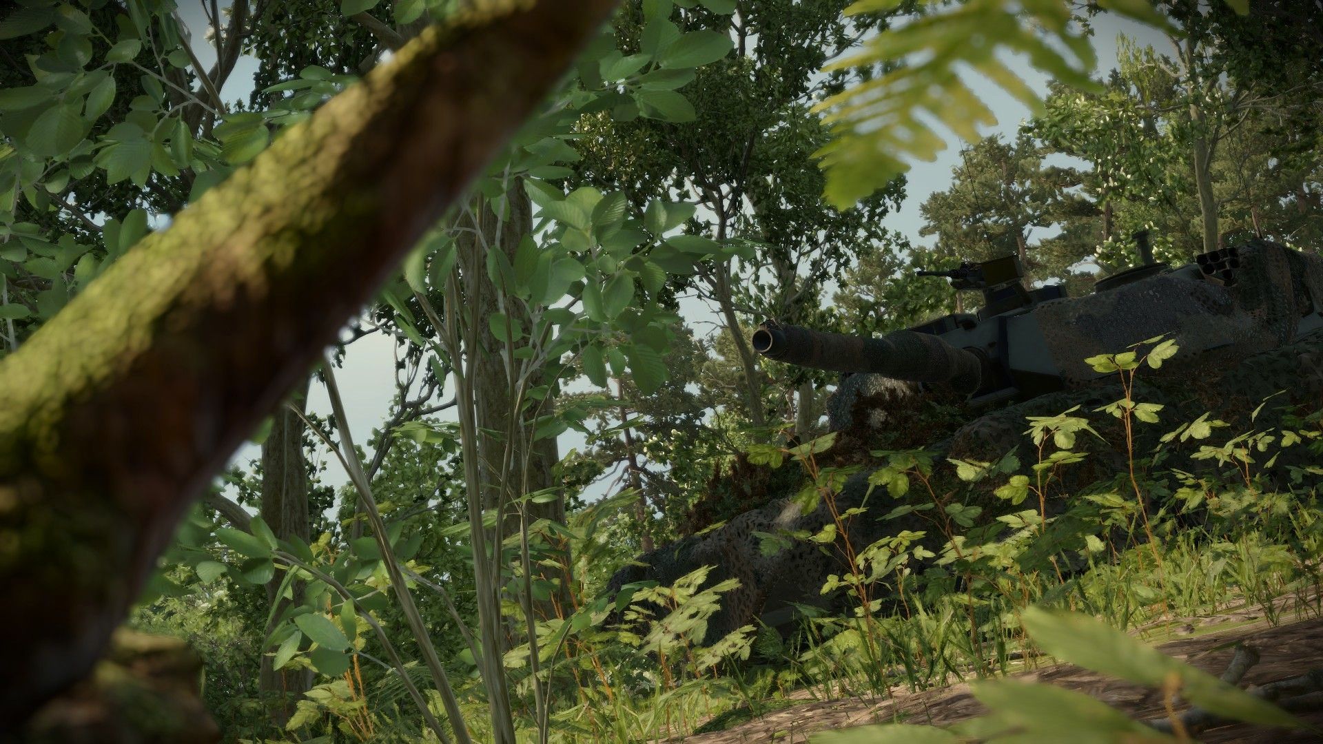 CGA - Camo Vehicle Variants preview
