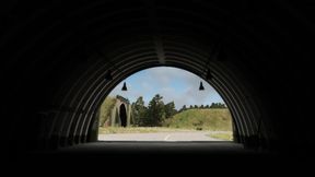 auto exposure disabler