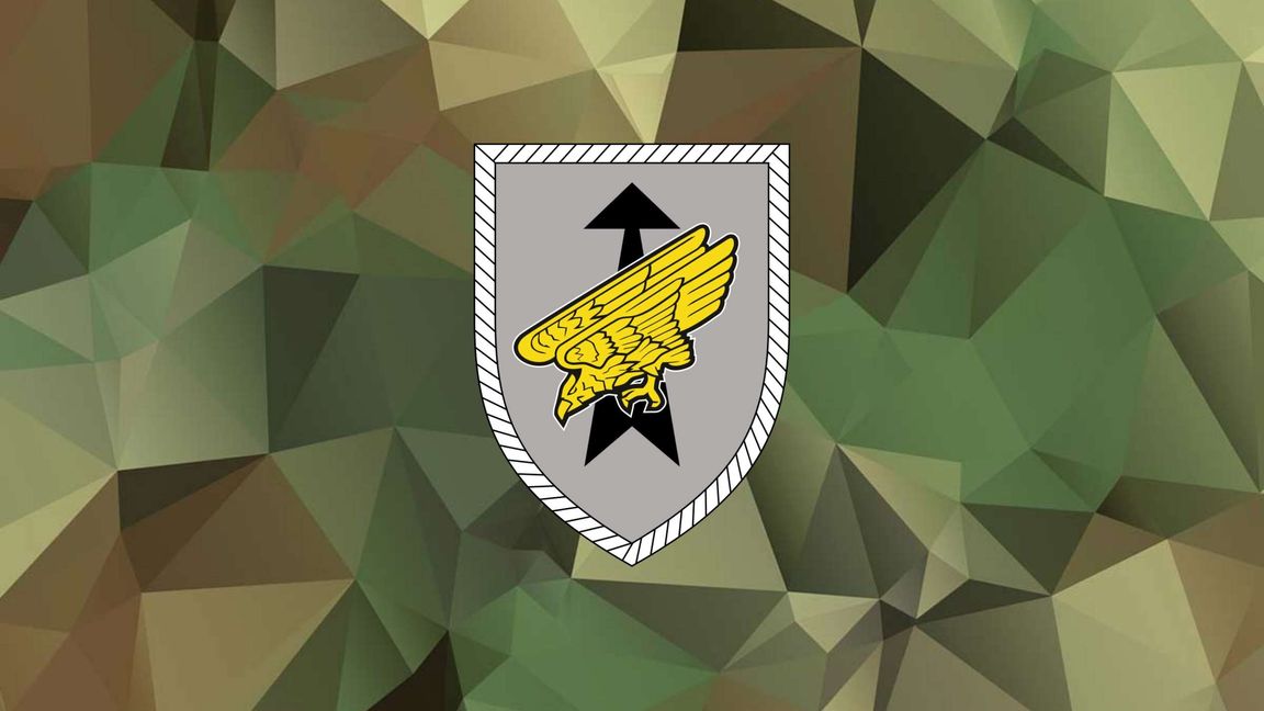 DSK-BLITZREGIMENT Flagge