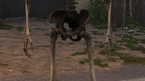 SkeletonAssets