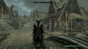 New Enfusion Project 2